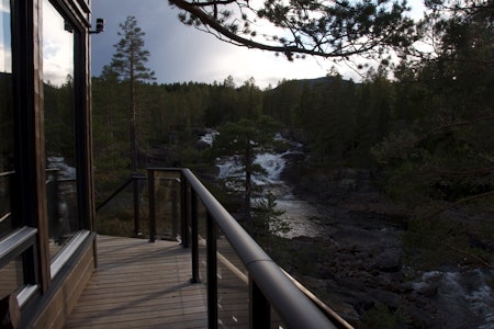 TRETOPPHYTTA FOSSTOPP: En liten tur i skogen varer lengre når du legger inn en overnatting. Noen ganger er litt mer tid sammen akkurat hva en familie er ute etter. Foto: Gunhild Aaslie Soldal FOSSTOPP tretopphytte ved Vassfaret hedalen:  Foto: Gunhild Aaslie Soldal