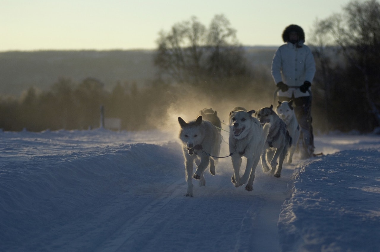 BÆREKRAFTIG REISEMÅL: Røros er blant stedene som har fått Merket for bærekraftig reisemål siden lanseringen i mars 2013. Foto: Terje Rakke/Nordic Life visitnorway.com BÆREKRAFTIG REISEMÅL: Røros er blant stedene som har fått Merket for bærekraftig reisemål siden lanseringen i mars 2013. Foto: Terje Rakke/Nordic Life visitnorway.com