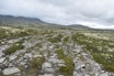 RONDANE UTEN TILTAK: Slitasje fra stor ferdsel langs sti i Rondane nasjonalpark. Foto: NINA Naturrestaurering i rondane