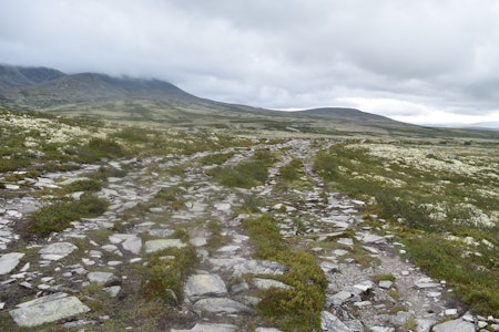 RONDANE UTEN TILTAK: Slitasje fra stor ferdsel langs sti i Rondane nasjonalpark. Foto: NINA Naturrestaurering i rondane
