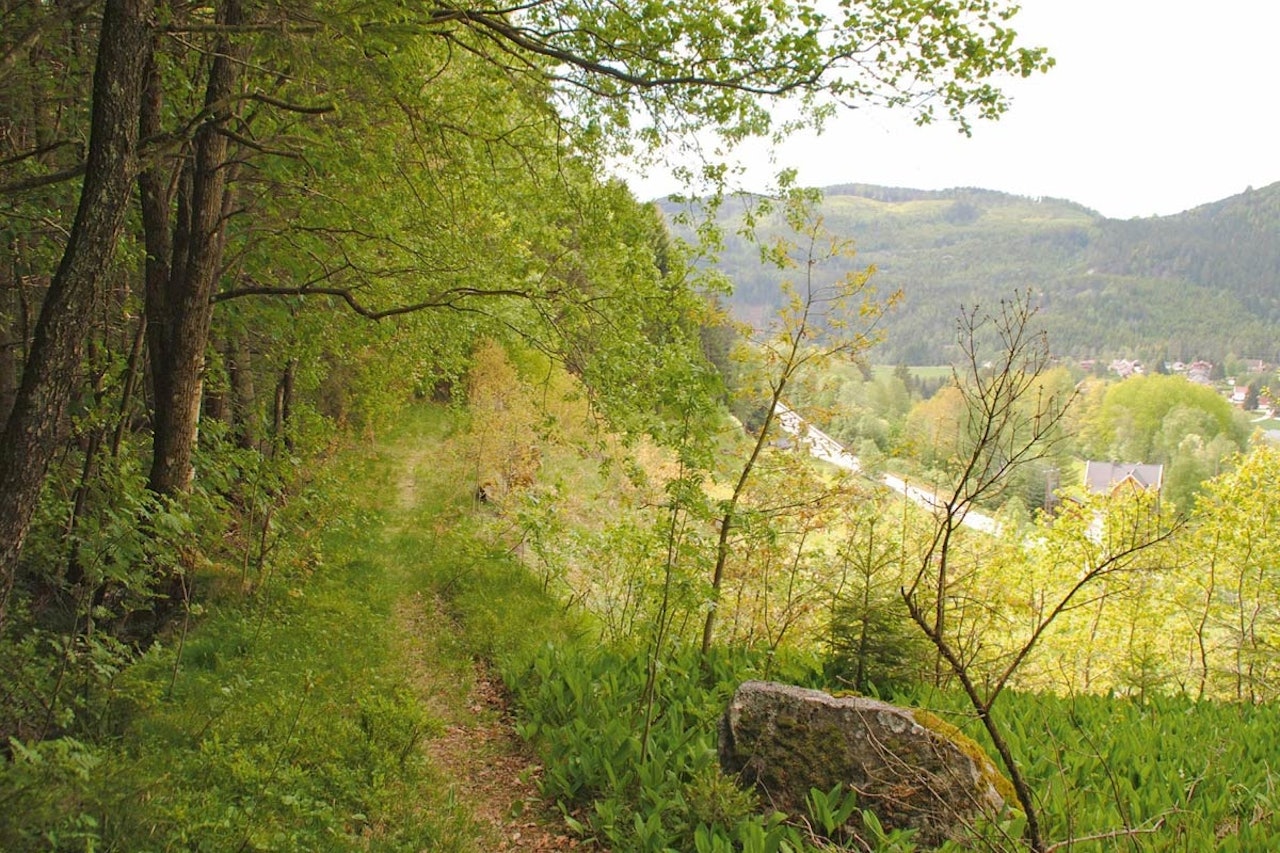 Fint å vandre langs Konsmokleivene. Foto: Trond Bendixen/Barnevandrerstien Fint å vandre langs Konsmokleivene. Foto: Trond Bendixen/Barnevandrerstien