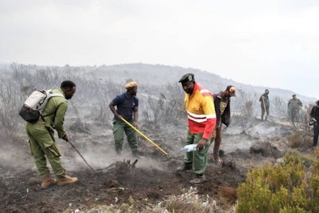 brann på kilimanjaro