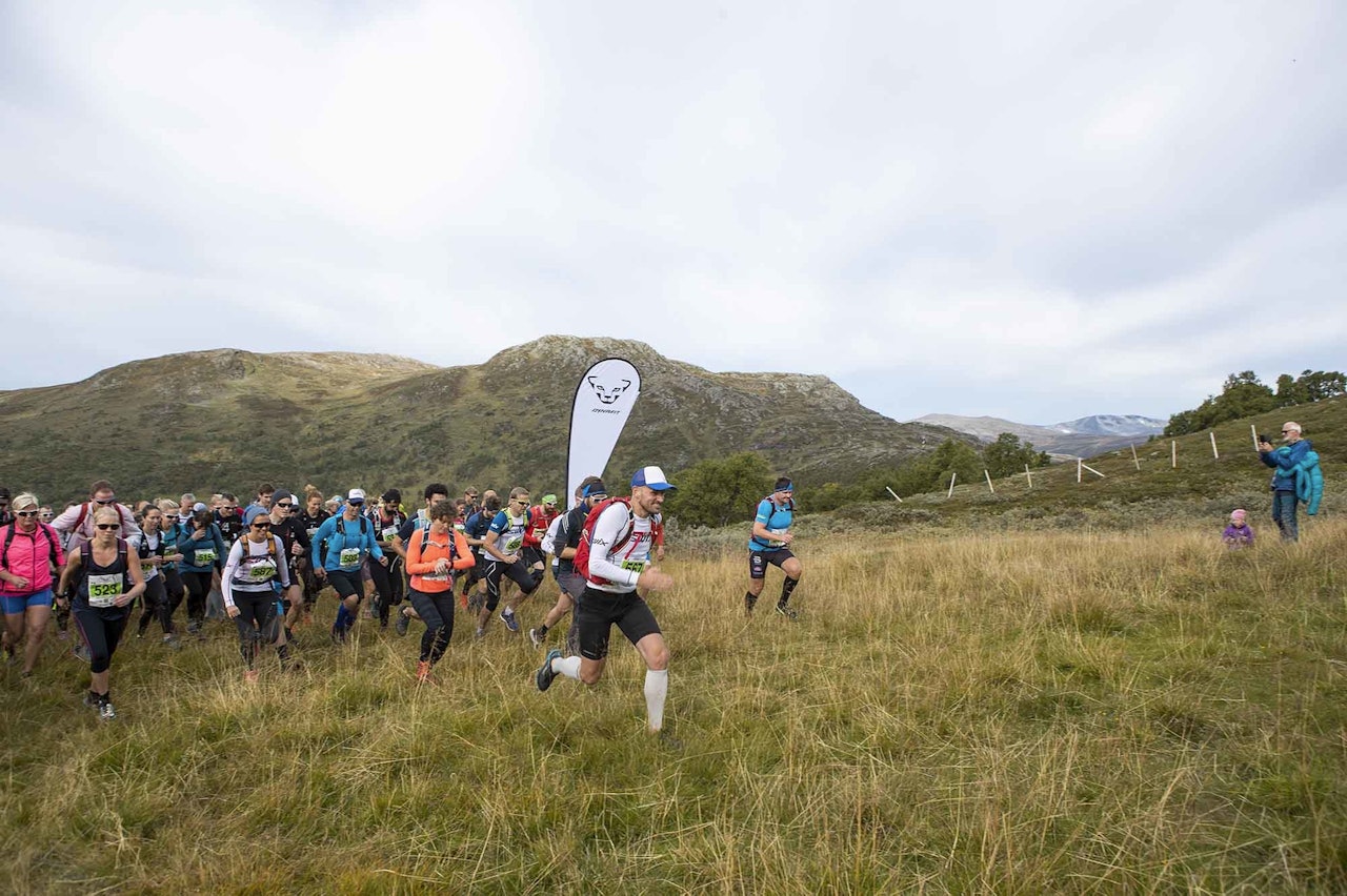 SER LOVENDE UT: Ikke bare er det meldt strålende forhold til helgas utgave av Oppdal fjellmaraton. Det er også rekordmange deltakere som skal løpe. Foto: Henrik Kippernes Oppdal fjellmaraton