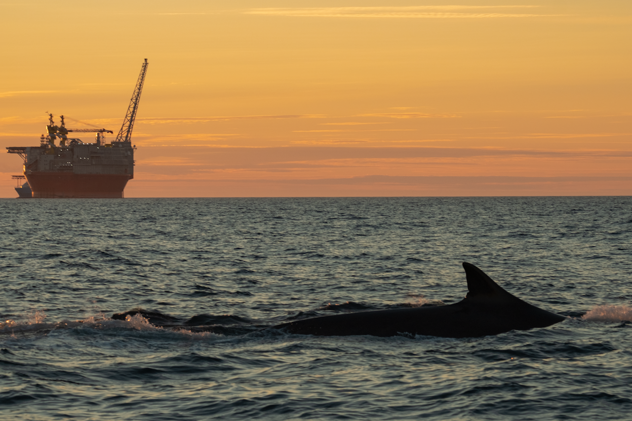EKSPEDISJON BARENTS: Mot Norskehavet avgrenses Barentshavet langs en linje mellom Sørkapp på Spitsbergen over Bjørnøya til Nordkapp. Foto: Thor Due EKSPEDISJON BARENTS: Mot Norskehavet avgrenses Barentshavet langs en linje mellom Sørkapp på Spitsbergen over Bjørnøya til Nordkapp. Foto: Thor Due