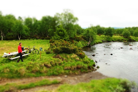 SYKKELTUR: Seterveien mellom Røros og Alvdal gir mange fine opplevelser underveis. Foto: Øyvind Wold seterveien røros alvdal sykkel tur tips guide