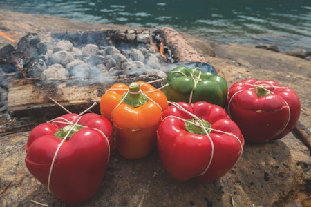 GRILLA PAPRIKA: Finn paprika i alle fargar og fyll opp med godsaker. Foto: Kjell Erik Reinhardtsen grillet  fylt paprika turmat