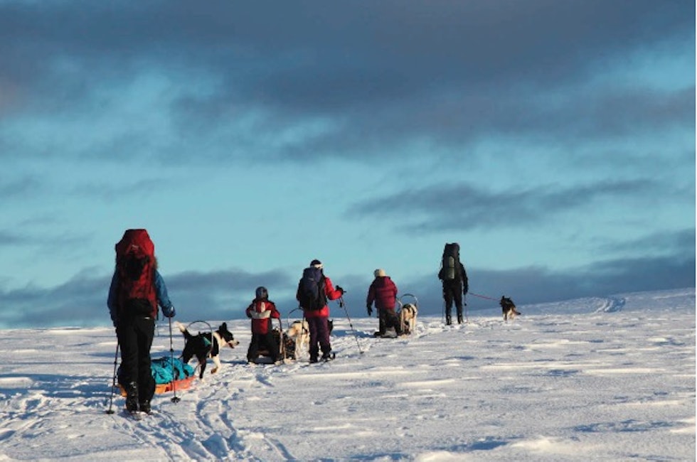 INNOVER FJELLET: En fin kolonne av folk og dyr i det gnistrende vinterfjellet. Foto: Lars Krempig