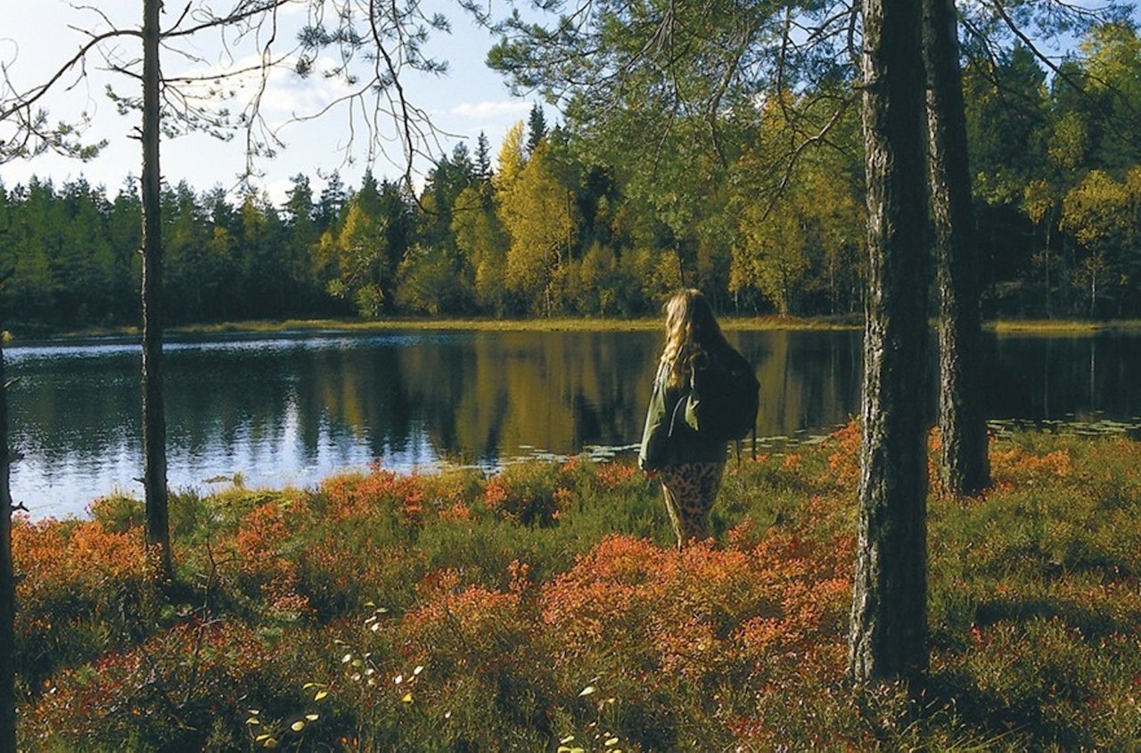 HØSTSTEMNING: Trollvann er et gjengroingstjern som ligger sørvest for Dølerud. Foto: Sverre M. Fjelstad hyllest til østmarka