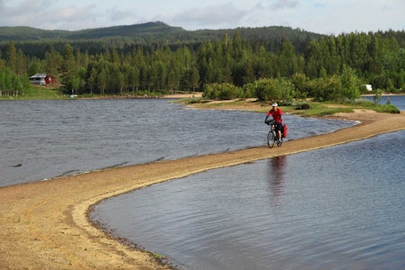 IKKE BARE TRÆR: Sykling gjennom Finnskogen gir deg mange fine naturopplevelser. Foto: Øyvind Wold finnskogen sykkel bikepacking tips tur guide
