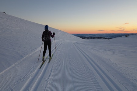 GLI AVSTED: Dårlig smurte ski bremser skigleden. Men hvordan du smører langrennskiene under alle forhold er enklere enn du tror. Foto: Sandra Lappegard Wangberg Slik smører du langrennski