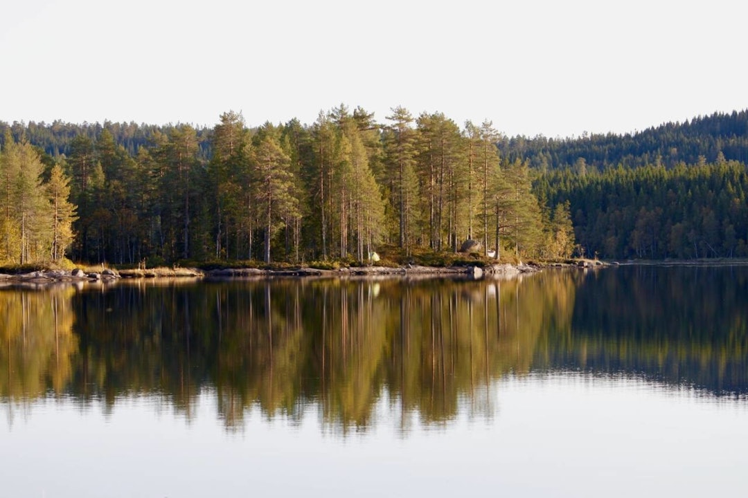 HVOR ER DET VANN? Østre Fyllingen (349 moh.) ligger mellom Vestre Fyllingen og Bjørnsjøen, ikke langt fra Kikutstua. Foto: Magnus Utkilen fine vann i oslo