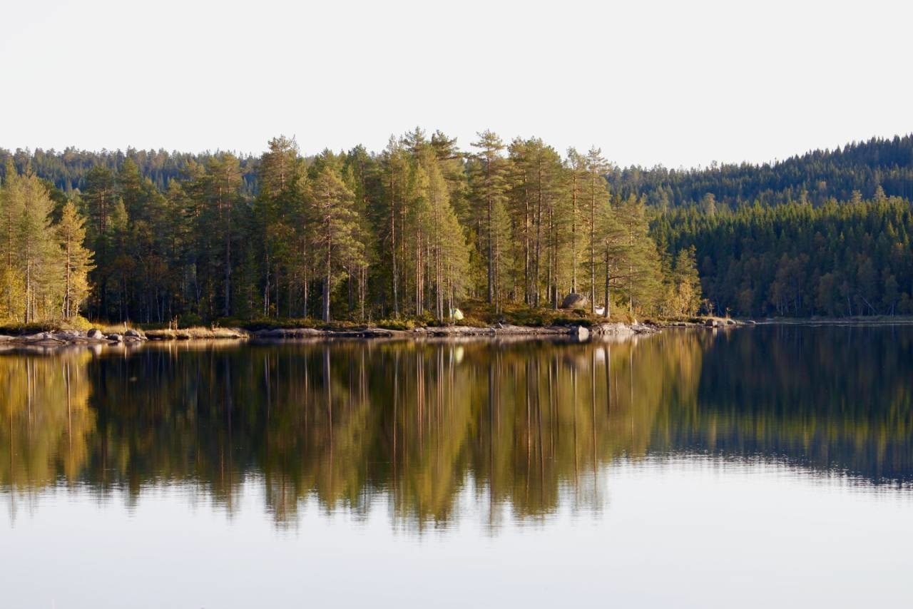 HVOR ER DET VANN? Østre Fyllingen (349 moh.) ligger mellom Vestre Fyllingen og Bjørnsjøen, ikke langt fra Kikutstua. Foto: Magnus Utkilen fine vann i oslo