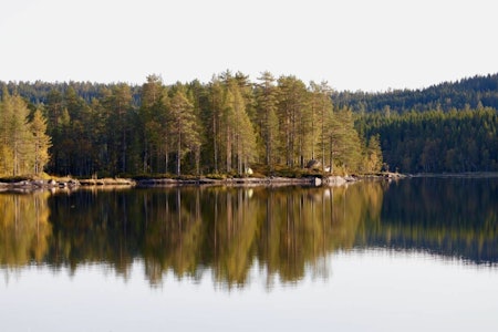 HVOR ER DET VANN? Østre Fyllingen (349 moh.) ligger mellom Vestre Fyllingen og Bjørnsjøen, ikke langt fra Kikutstua. Foto: Magnus Utkilen fine vann i oslo