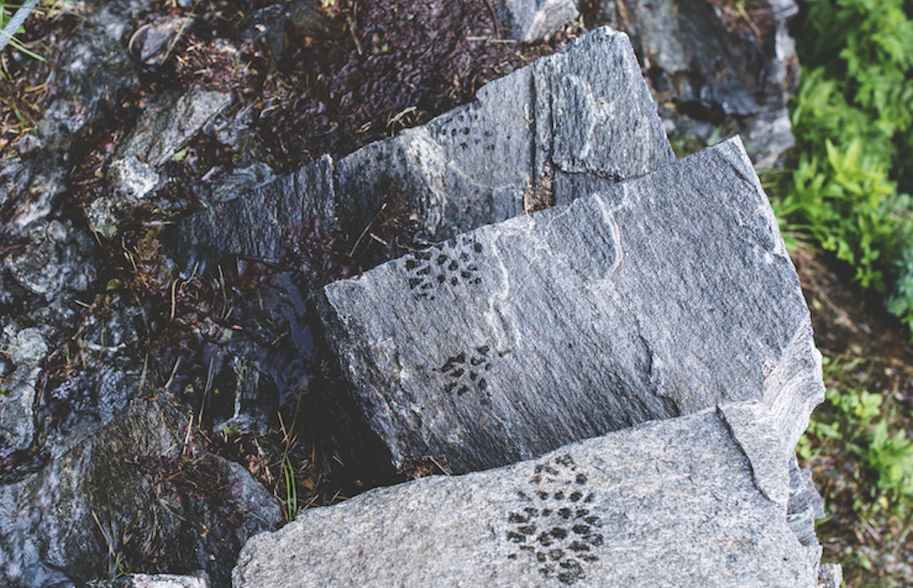GRØNT VALG: Trenger du den nye sekken før fjeltur, eller kan du bruke den gamle, leie eller låne? Illustrasjon: Line Hårklau friluftsliv og forbruk