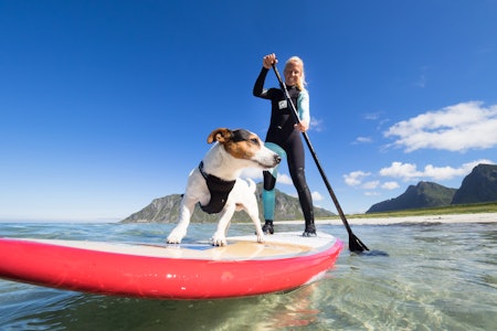 KAMERATER: Kiteren Kari Schibevaag og hunden Truls blir to gode fotoobjekter for fotografen. Foto: Kristin Folsland Olsen