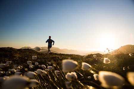 HORNSETEN: Løpetur med fjordutsikt. Husk at der du kan løpe, kan du selvsagt også gå. Foto: Håvard Myklebust