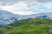 TUNGESTØLEN: «The finest ice scenery in Europe», sa William Cecil Slingsby om Austerdalsbreen. Denne sommeren åpner nye Tungestølen, innerst i Veitastrond. Foto: Vegard Aasen TUNGESTØLEN: «The finest ice scenery in Europe», sa William Cecil Slingsby om Austerdalsbreen. Denne sommeren åpner nye Tungestølen, innerst i Veitastrond. Foto: Vegard Aasen
