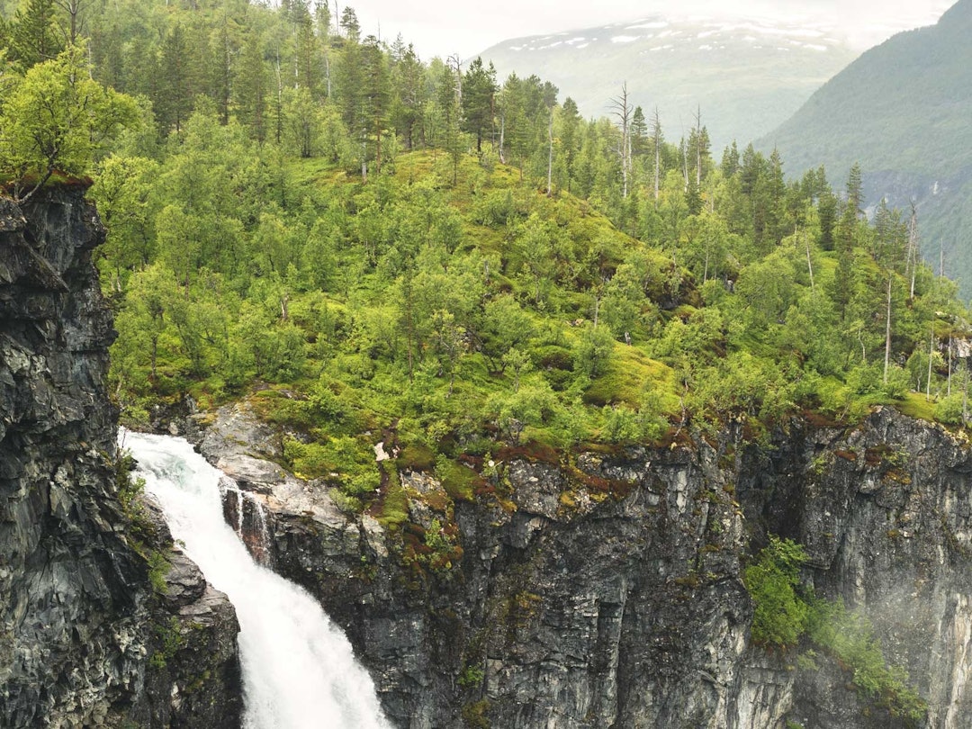Vettisfossen renner ned i Utlaelva, og elva følger du langs på vei oppover fra Hjelle. Foto: Line Hårklau Vettisfossen jotunheimen utladalen
