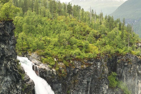 Vettisfossen renner ned i Utlaelva, og elva følger du langs på vei oppover fra Hjelle. Foto: Line Hårklau Vettisfossen jotunheimen utladalen
