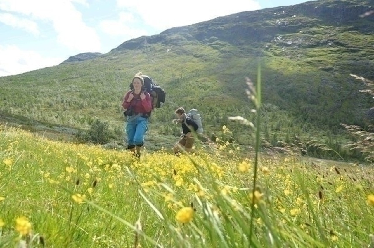 Det mange av oss trolig ikke vet eller tenker over, er at det var vår evne til å gå på to, som reint kroppslig la grunnlaget for mye av mange våre andre gode egenskaper, skriver Bjørn Godal. Det mange av oss trolig ikke vet eller tenker over, er at det var vår evne til å gå på to, som reint kroppslig la grunnlaget for mye av mange våre andre gode egenskaper, skriver Bjørn Godal.