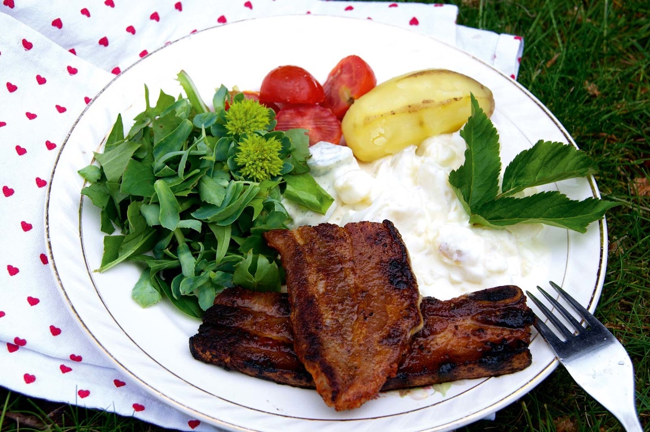 SOMMERSALAT: Både engsyre, rosenrot og løvetann er fullt spiselig. Foto: Sigrid Henjum turmat grønlandsk salat sigrid henjum