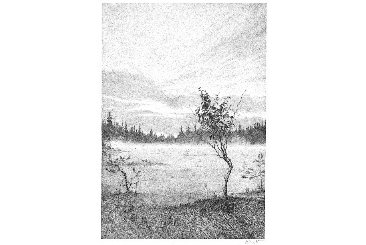 DET SELVSAGTE: Det er ingen veg til naturvennlighet. Naturvennlighet er vegen, skriver Nils Faarlund. Illustrasjon: Danny Lars DET SELVSAGTE: Det er ingen veg til naturvennlighet. Naturvennlighet er vegen, skriver Nils Faarlund. Illustrasjon: Danny Lars