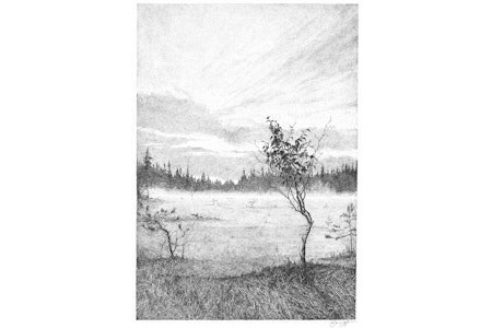 DET SELVSAGTE: Det er ingen veg til naturvennlighet. Naturvennlighet er vegen, skriver Nils Faarlund. Illustrasjon: Danny Lars DET SELVSAGTE: Det er ingen veg til naturvennlighet. Naturvennlighet er vegen, skriver Nils Faarlund. Illustrasjon: Danny Lars