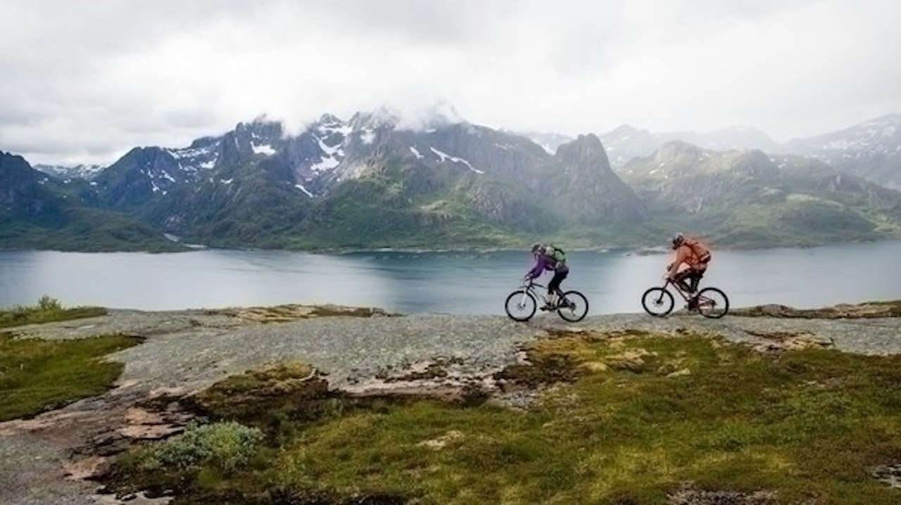 sykling i lofoten