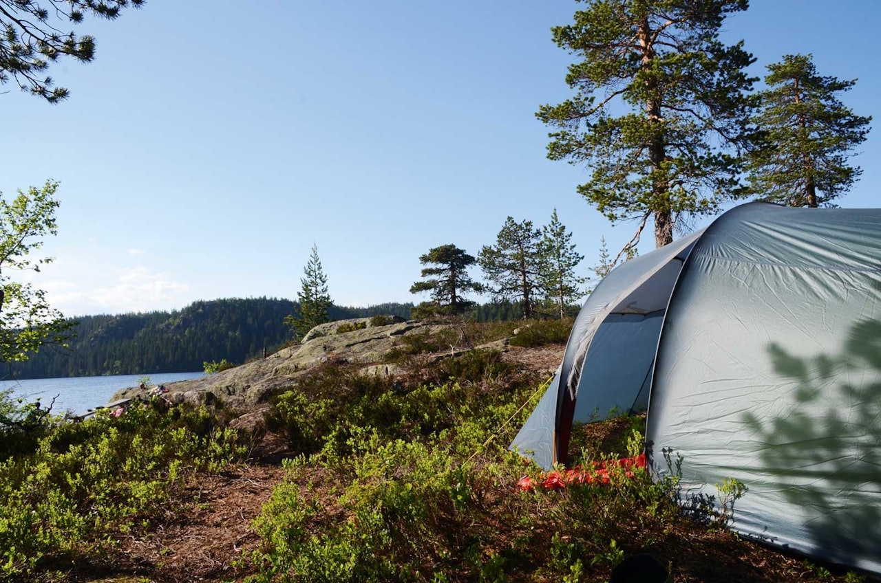 SKOGENS RO: Skrim gir deg både flott skog og høydedrag med innslag av fjell. Uansett finner du garantert roen. Foto: Sandra L. Wangberg helgetur til skrimfjella