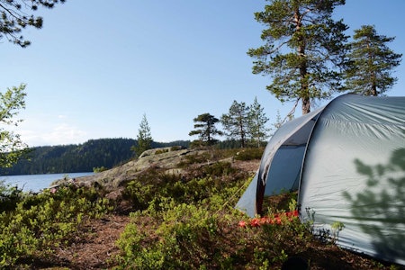 SKOGENS RO: Skrim gir deg både flott skog og høydedrag med innslag av fjell. Uansett finner du garantert roen. Foto: Sandra L. Wangberg helgetur til skrimfjella