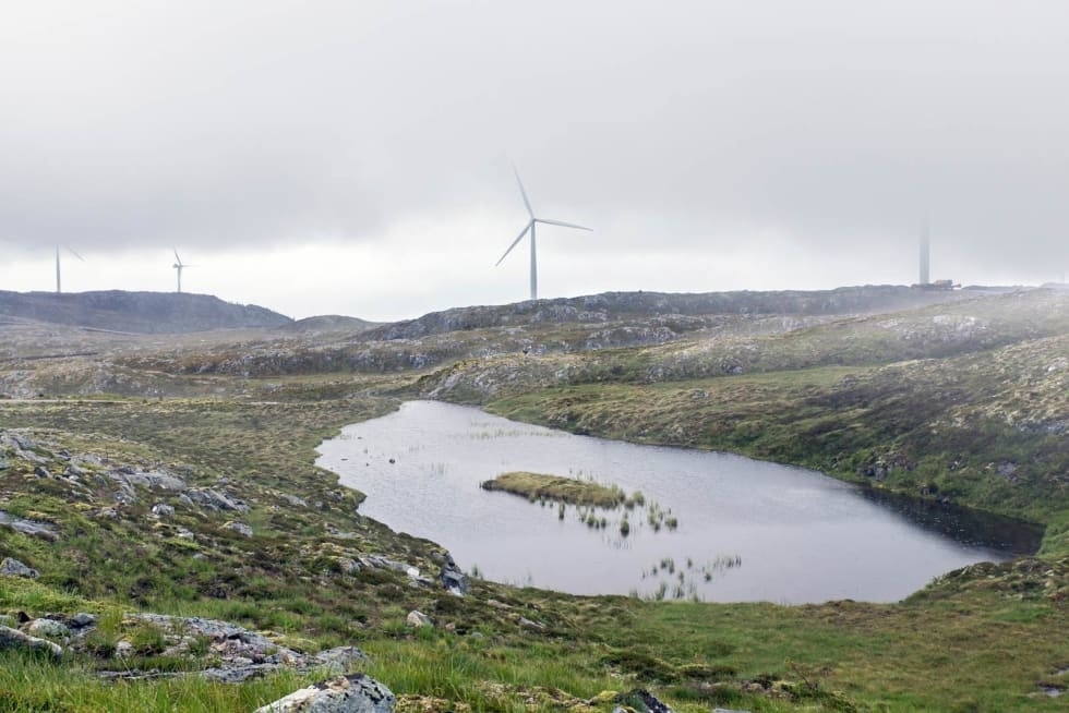 EUROPAS STØRSTE VINDKRAFTANLEGG: Når Fosen-utbyggingen ble komplett mot slutten av 2020 ble det Europas største vindkraftanlegg på land. Trøndelag er et av de fylkene som har mistet aller mest inngrepsfri natur de siste 20 årene. Foto: Unni Skoglund