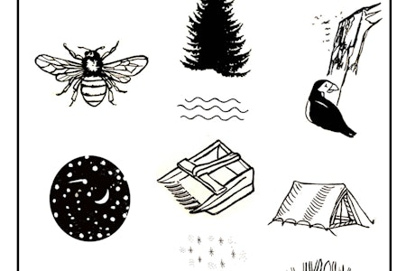 VERDT Å BEVARE: Nordmenn er glad i natur og friluftsliv og Illustrasjon: Kristian Tiller Torsvik VERDT Å BEVARE: Nordmenn er glad i natur og friluftsliv og Illustrasjon: Kristian Tiller Torsvik