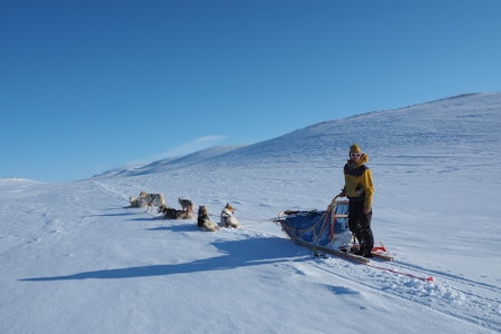 FØR STORMEN: Vi tilbakelegger flere mil på få timer, under perfekte forhold i høyfjellet. Foto: Kjell-Harald Myrseth ute i stormen