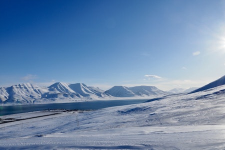SVALBARD: Hvorfor dra til Svalbard? Her får du fem grunner til hvorfor du bør kanskje legge turen til Svalbard. Foto: Lisa Kvålshaugen Bjærum reise til Svalbard