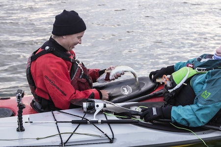 SE TORSKEN: Lite å si på stemningen når Vandbakk fanger en torsk fra kajakken. Nina Elisabeth Rødahl Friis fra Havblikk Camping får seg en god latter.  SE TORSKEN: Lite å si på stemningen når Vandbakk fanger en torsk fra kajakken. Nina Elisabeth Rødahl Friis fra Havblikk Camping får seg en god latter.
