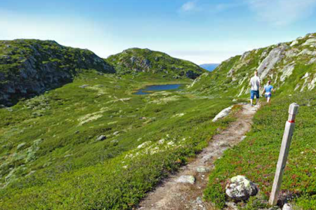 IDYLL: Stien mellom Svinefjell og Silkedalsnutane. Foto: Erlend Larsen Fra holtardalen - Svinefjell Silkedalsnutane sti turguide Rauland