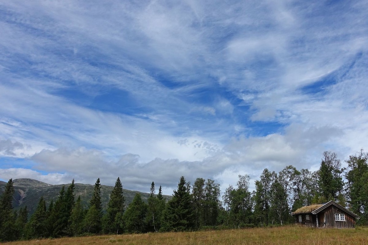 Raulandsfjell i bakgrunnen