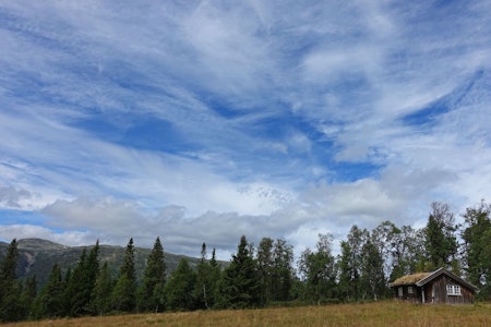 Svalastogjuvstaul med Raulandsfjell i bakgrunn. (Foto: Erlend Larsen)