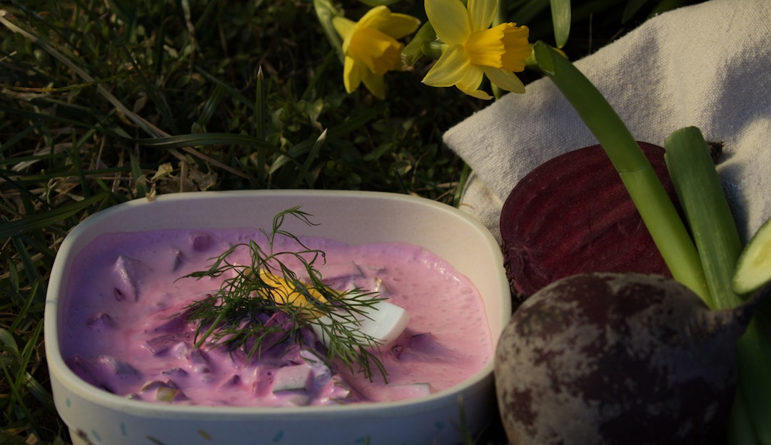 TURMENY: Vårsuppe, som kan lagast heime og bli med på tur. Foto: Sigrid Henjum rødbetsuppe suppe på tur