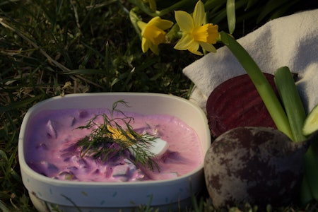 TURMENY: Vårsuppe, som kan lagast heime og bli med på tur. Foto: Sigrid Henjum rødbetsuppe suppe på tur