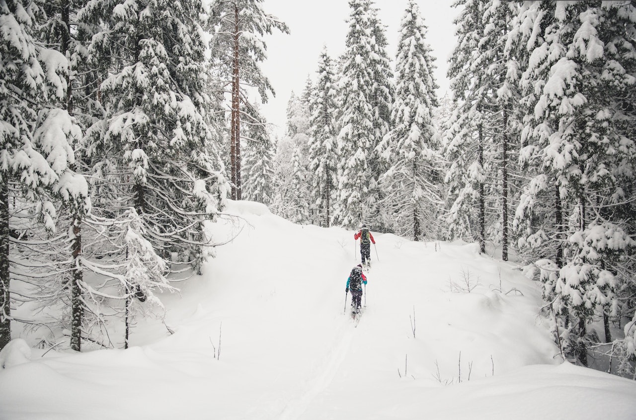 VINTER OG SNØ: Når de store nettavisene slår alarm om snøkaos, kan det være fint å ta fram skiene. Foto: Line Hårklau det beste med vinter