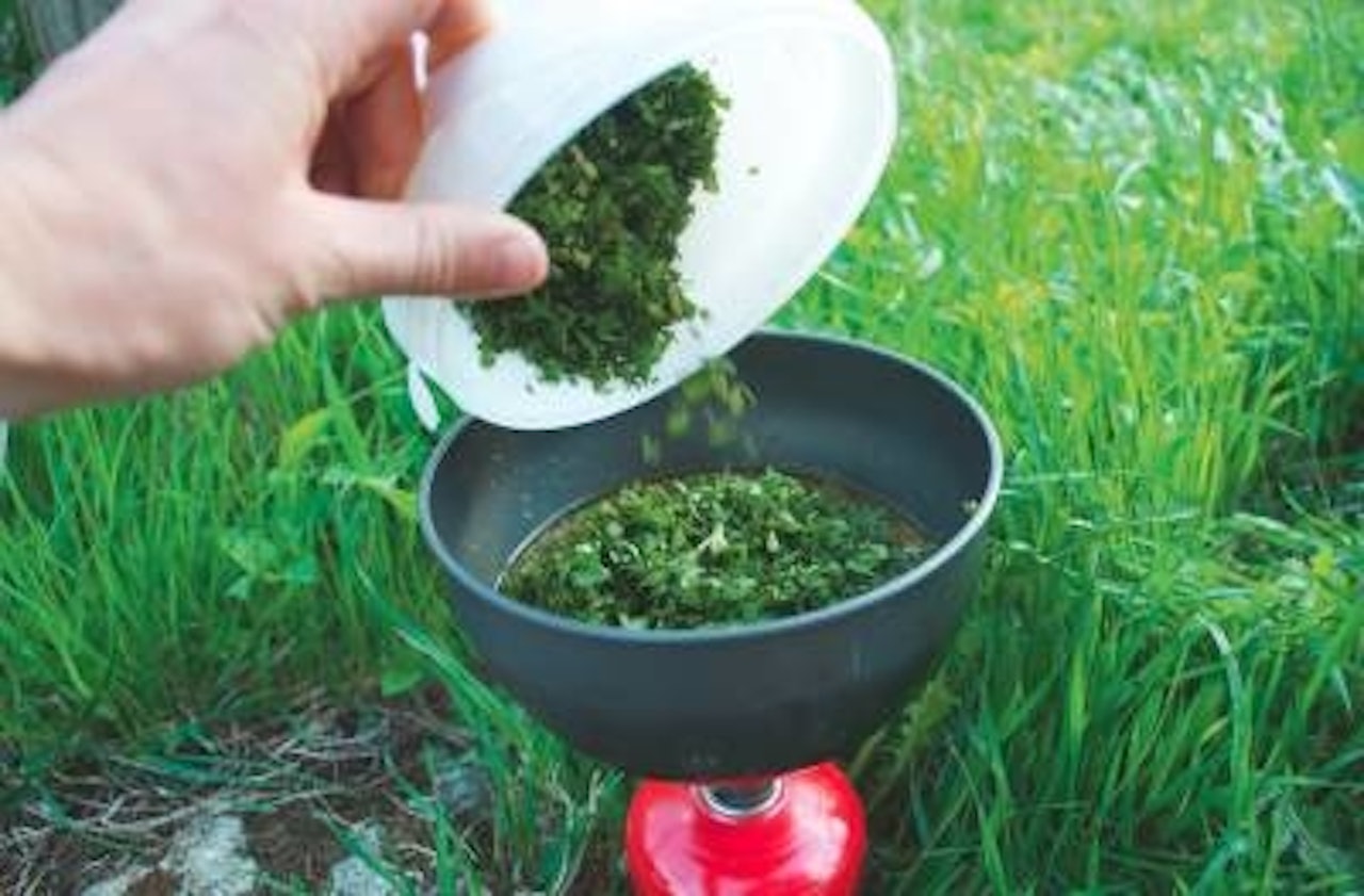 BRENNESLESUPPE: Betre enn du trur, og veldig enkelt. Foto: Sigrid Henjum BRENNESLESUPPE: Betre enn du trur, og veldig enkelt. Foto: Sigrid Henjum