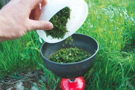 BRENNESLESUPPE: Betre enn du trur, og veldig enkelt. Foto: Sigrid Henjum BRENNESLESUPPE: Betre enn du trur, og veldig enkelt. Foto: Sigrid Henjum