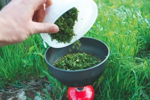 BRENNESLESUPPE: Betre enn du trur, og veldig enkelt. Foto: Sigrid Henjum BRENNESLESUPPE: Betre enn du trur, og veldig enkelt. Foto: Sigrid Henjum