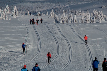 HOVEDVEIEN: Fra «E6», med firefelts løype, her siste strekket mot Pellestova. Foto: Øyvind Wold HOVEDVEIEN: Fra «E6», med firefelts løype, her siste strekket mot Pellestova. Foto: Øyvind Wold