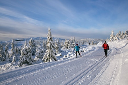 BRA FOR LANGRENN: Gode spor og fine forhold, her fra den mest trafikkerte turen i området: Reinsvatnetrunden, med Hafjellet og Pellestova i bakgrunnen. Foto: Geir Olsen