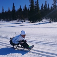 Melvin Cornejo Gomez (SV) har lite erfaring med skigåing, men han er ikke den som gir opp, og gjennomførte 20 km på lørdagens Ridderrenn. Melvin Cornejo Gomez (SV) har lite erfaring med skigåing, men han er ikke den som gir opp, og gjennomførte 20 km på lørdagens Ridderrenn.