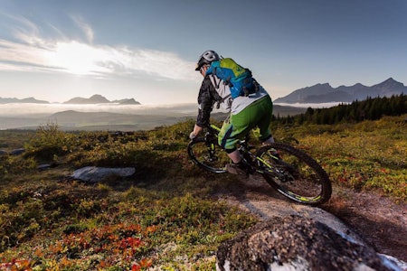 Stafig flere har lyst til å sykle i Lofoten. Foto: Bjørn -Ståle Larsen Stafig flere har lyst til å sykle i Lofoten. Foto: Bjørn -Ståle Larsen