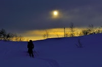 Et glimt av februarsola. Foto: Ida Ask Et glimt av februarsola. Foto: Ida Ask