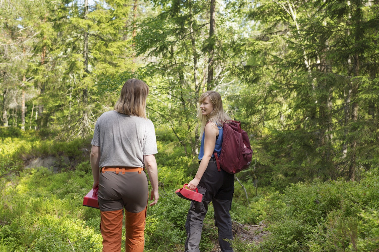 NÆRSKOG: Blåbærtur og andre turer i nærskogen er en opplevelse som er blitt nominert av flere, ifølge Norsk Friluftsliv. Foto: Paulina Cervenka  NÆRSKOG: Blåbærtur og andre turer i nærskogen er en opplevelse som er blitt nominert av flere, ifølge Norsk Friluftsliv. Foto: Paulina Cervenka